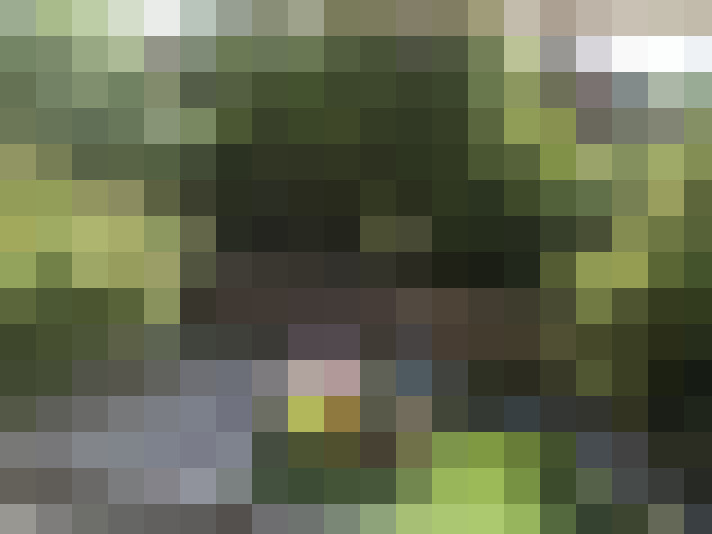 Image 29