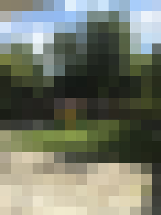 Image 44