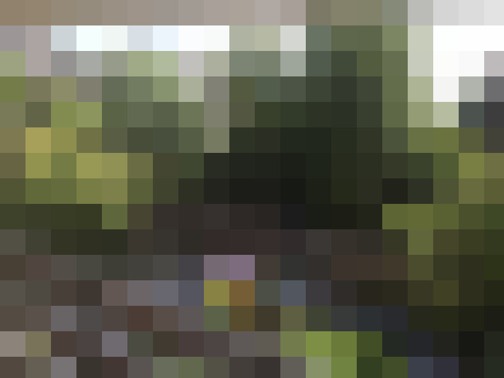 Image 30