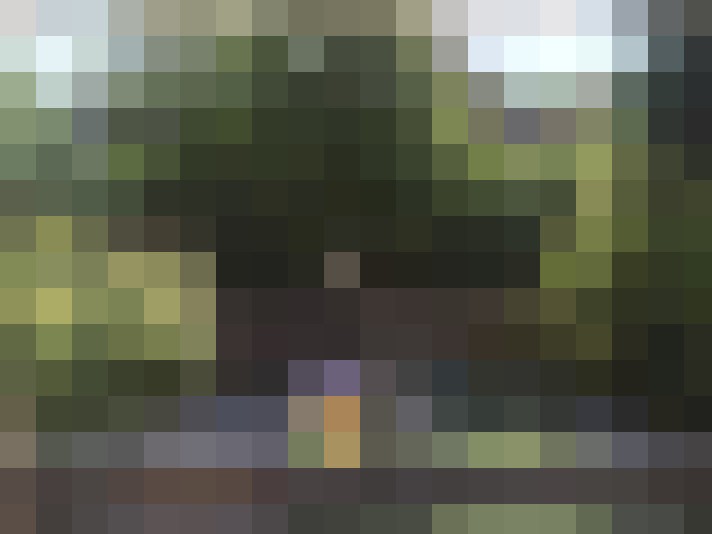 Image 28