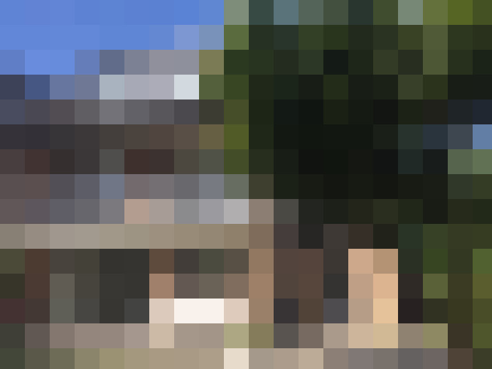 Image 48