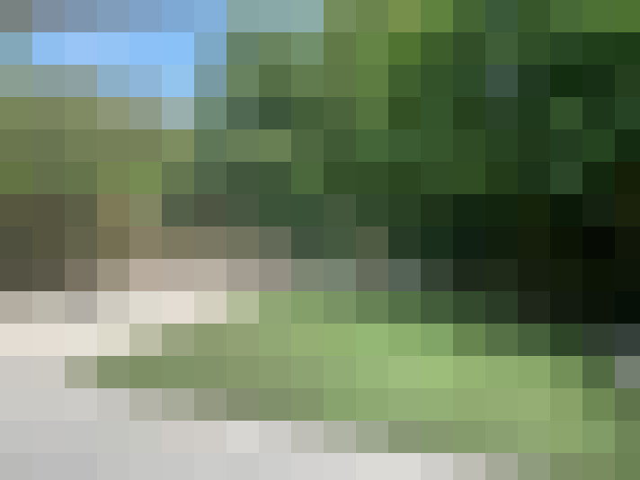 Image 51