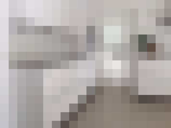 Image 20