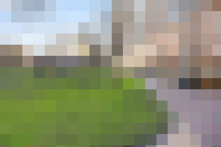 Image 20