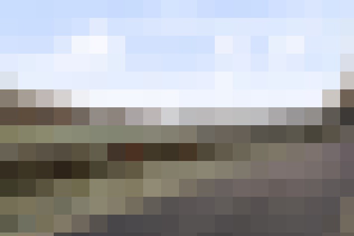 Image 29
