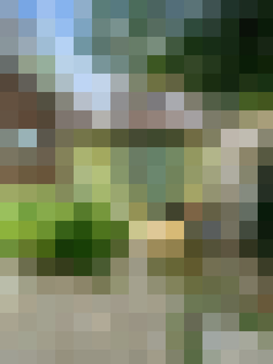 Image 23