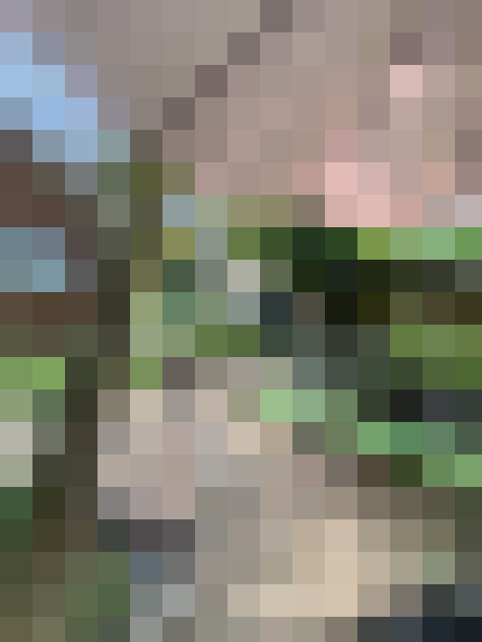 Image 22