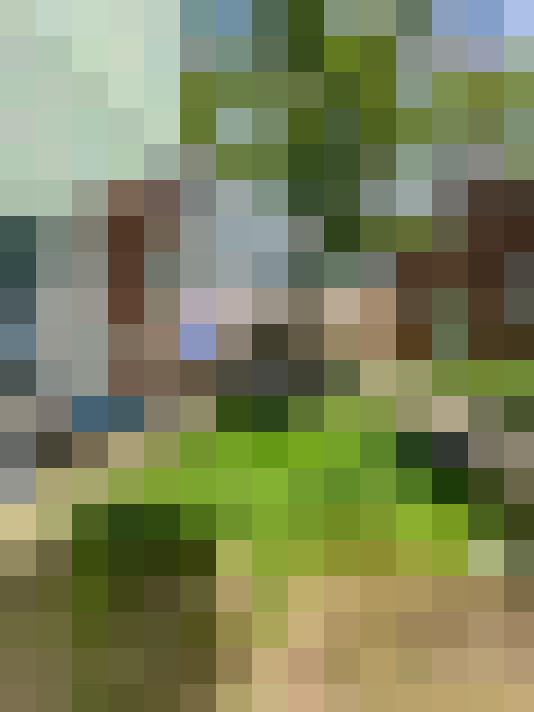 Image 13