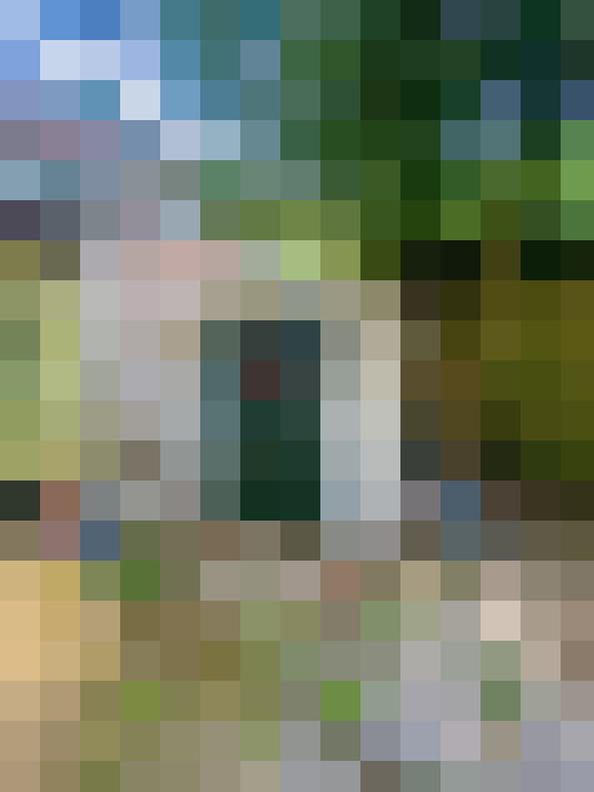 Image 24