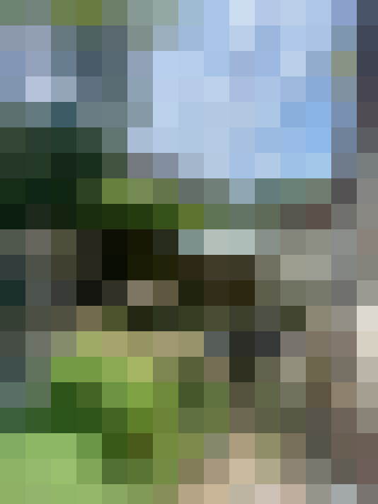 Image 25