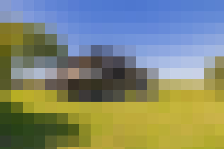 Image 23