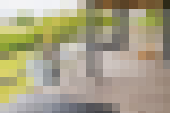 Image 22