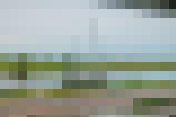 Image 44
