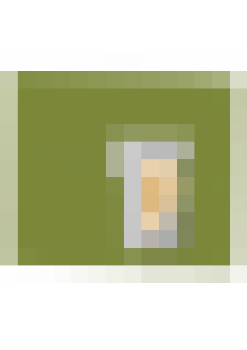 Image 50