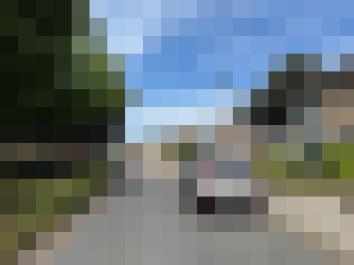 Image 22