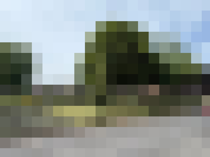 Image 23