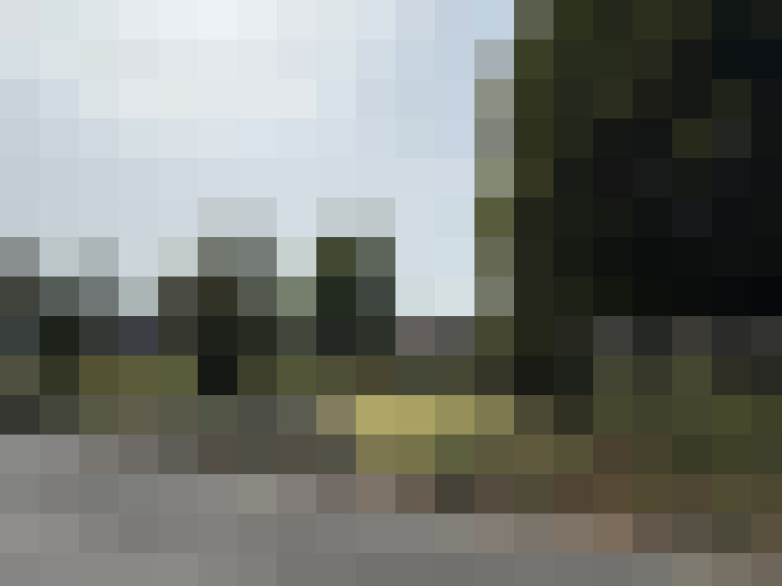Image 24