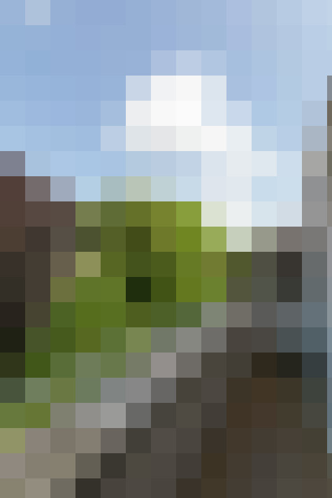 Image 43