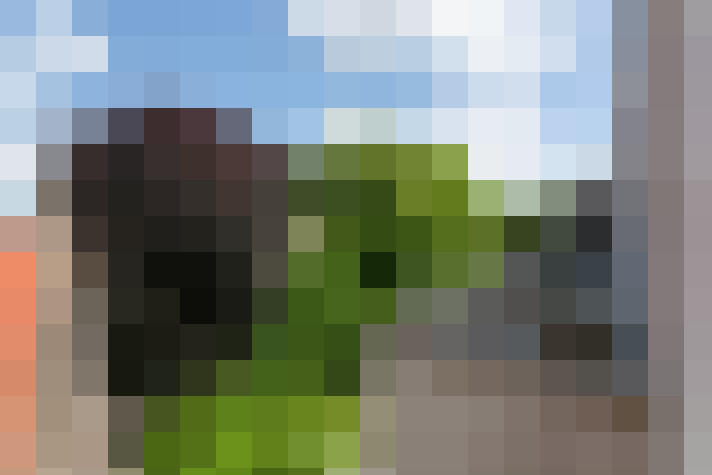 Image 34