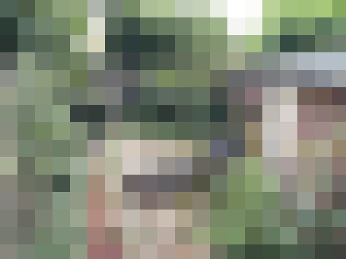 Image 35