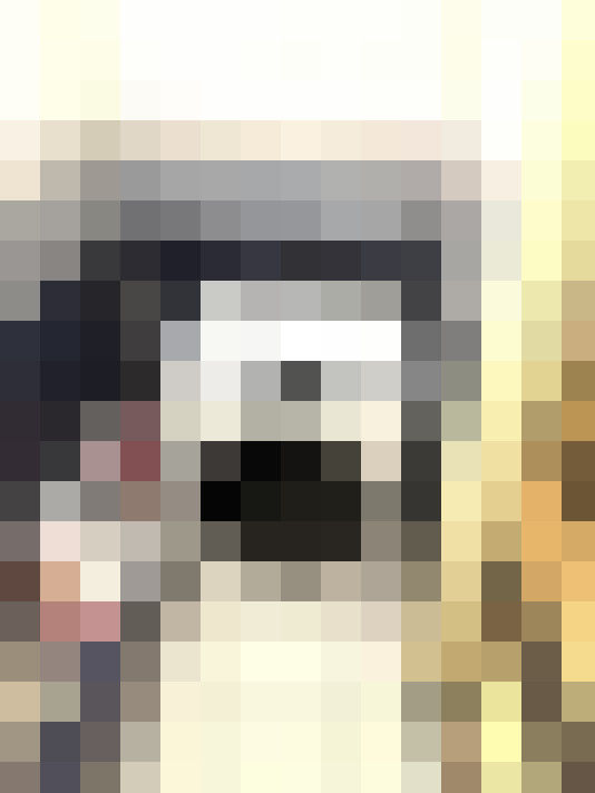 Image 33