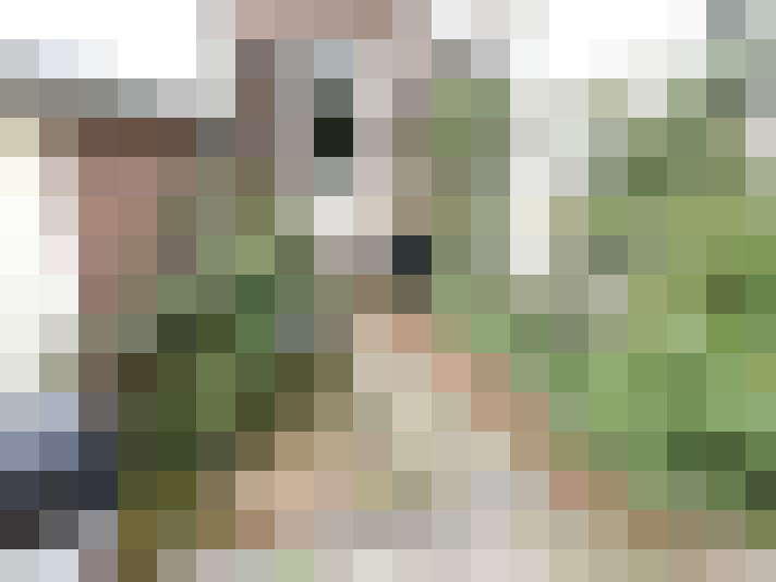Image 34