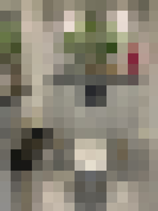 Image 13