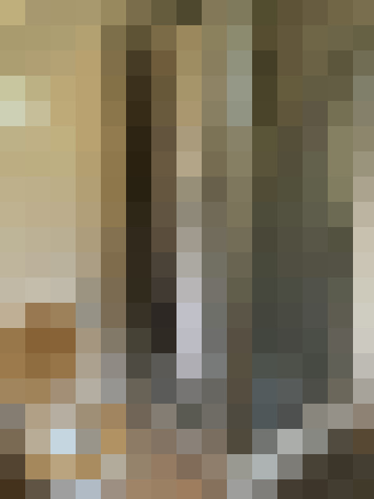 Image 13