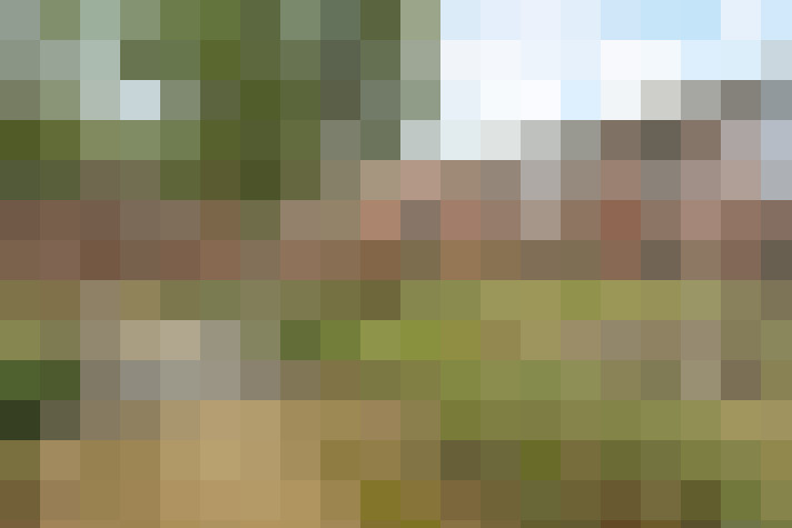 Image 18