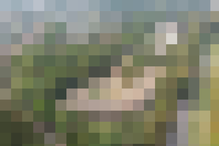 Image 20