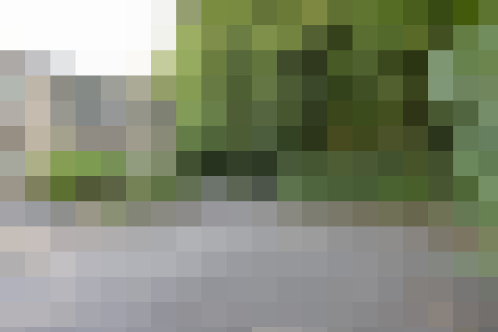 Image 31