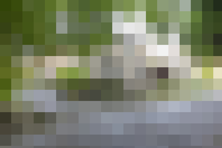 Image 32