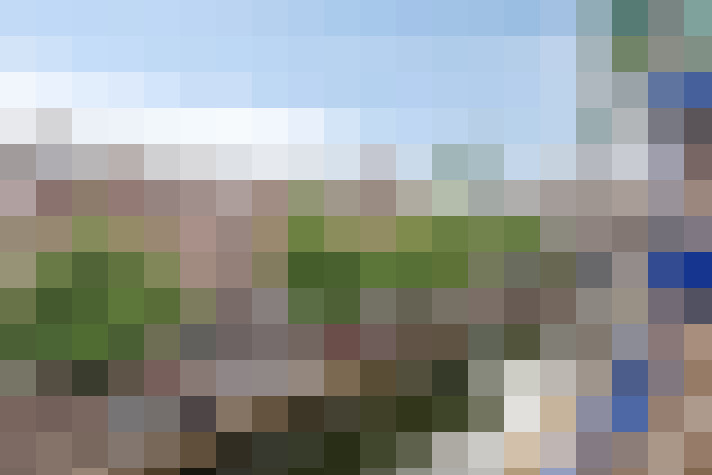 Image 23