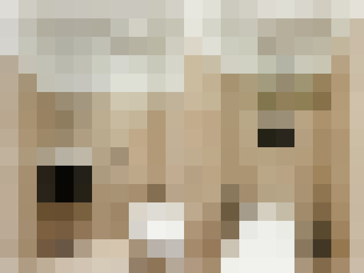 Image 23