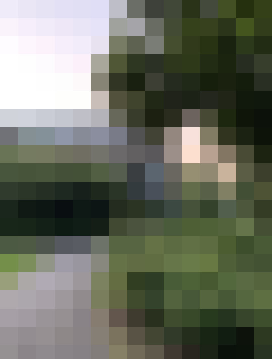 Image 18