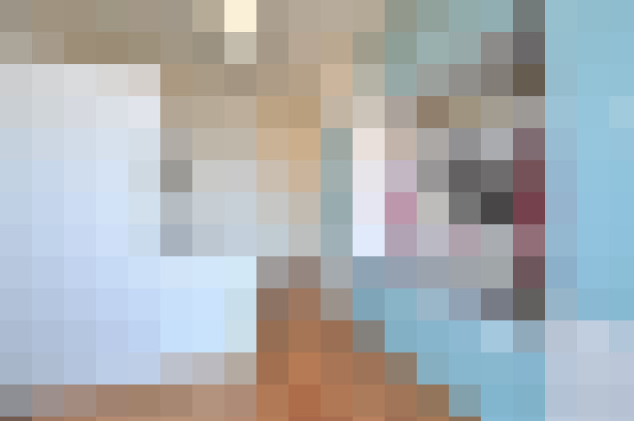 Image 22