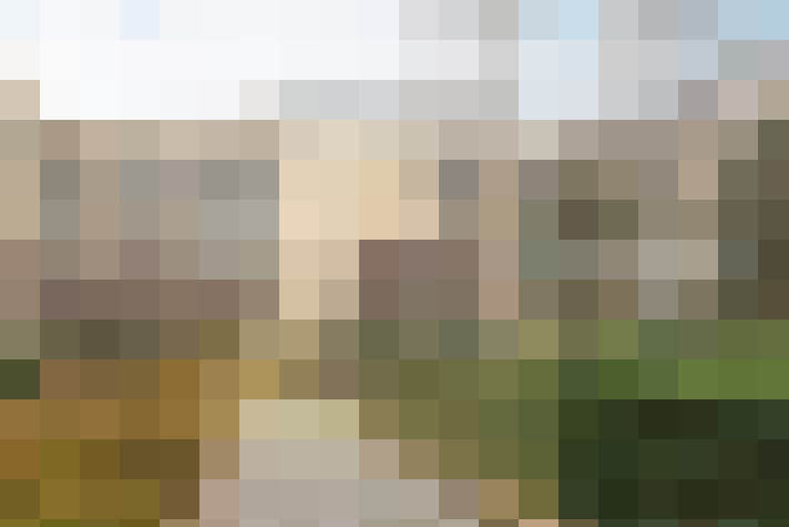 Image 17