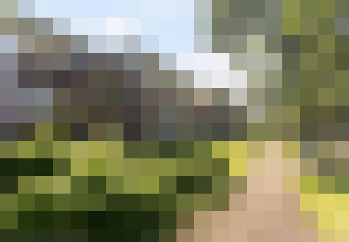 Image 16