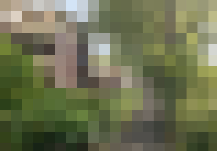 Image 14