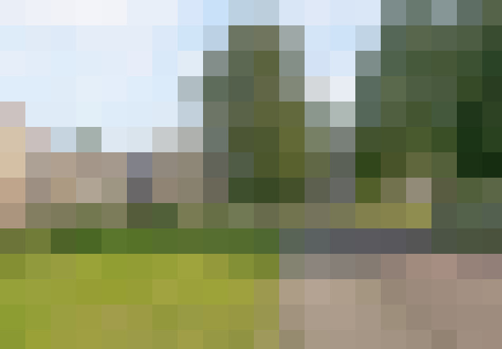 Image 13