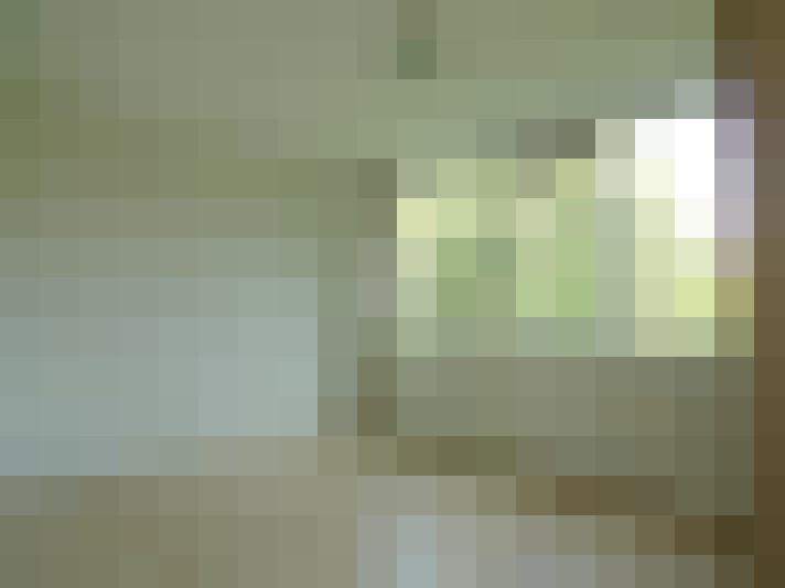 Image 13