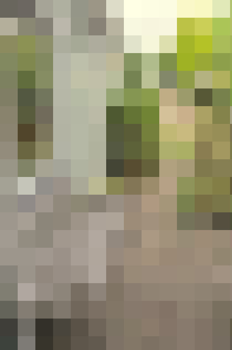 Image 41