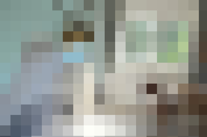Image 61