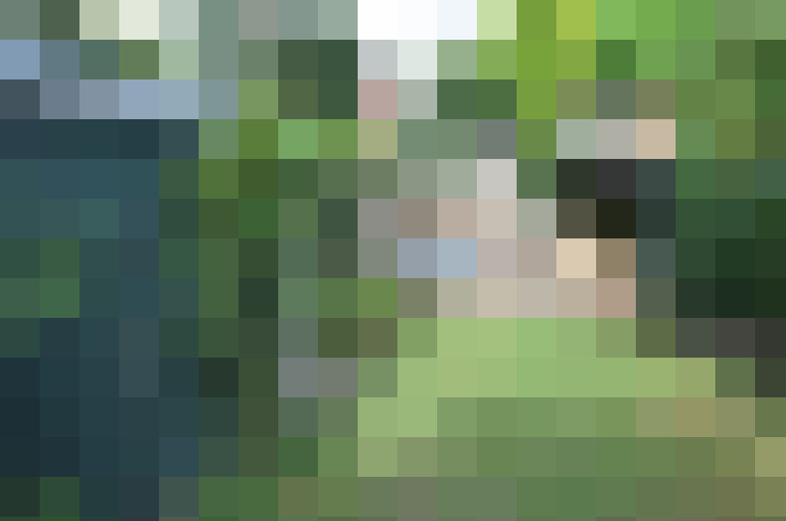 Image 90