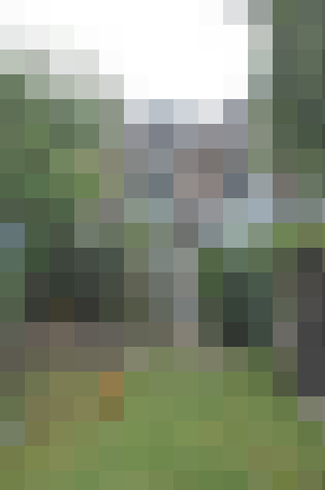 Image 91