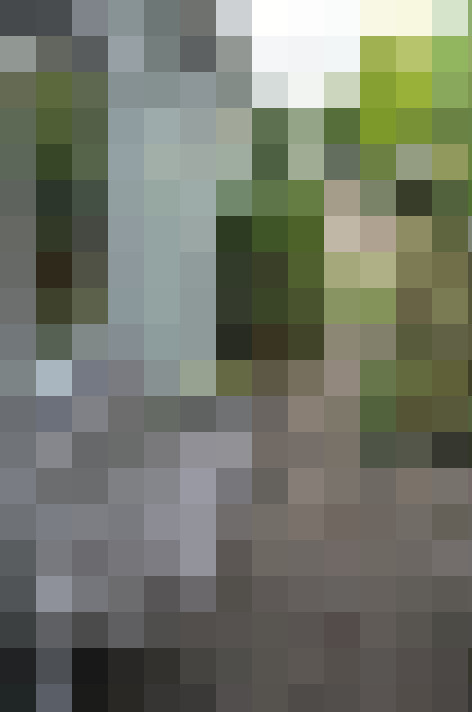 Image 45