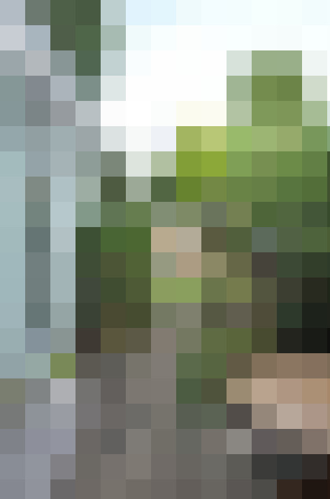 Image 44