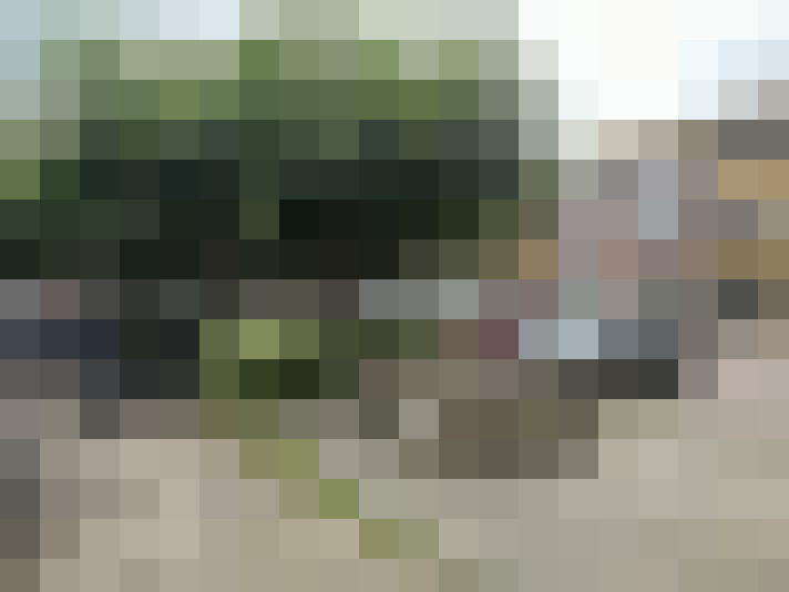Image 23