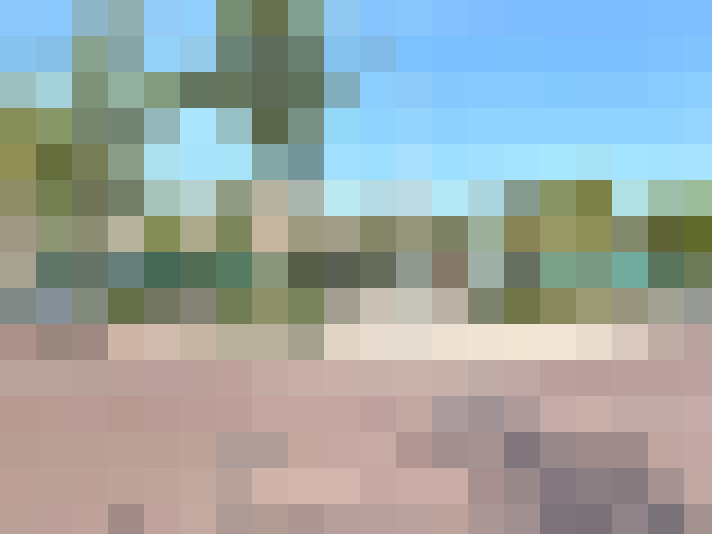 Image 26