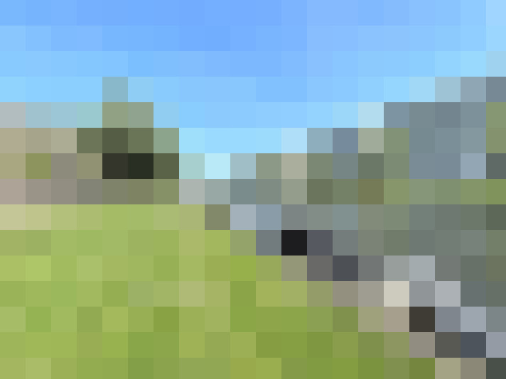Image 27